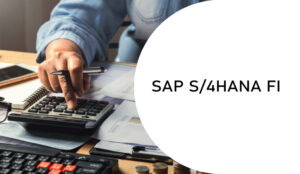 SAP S/4 Hana Fi